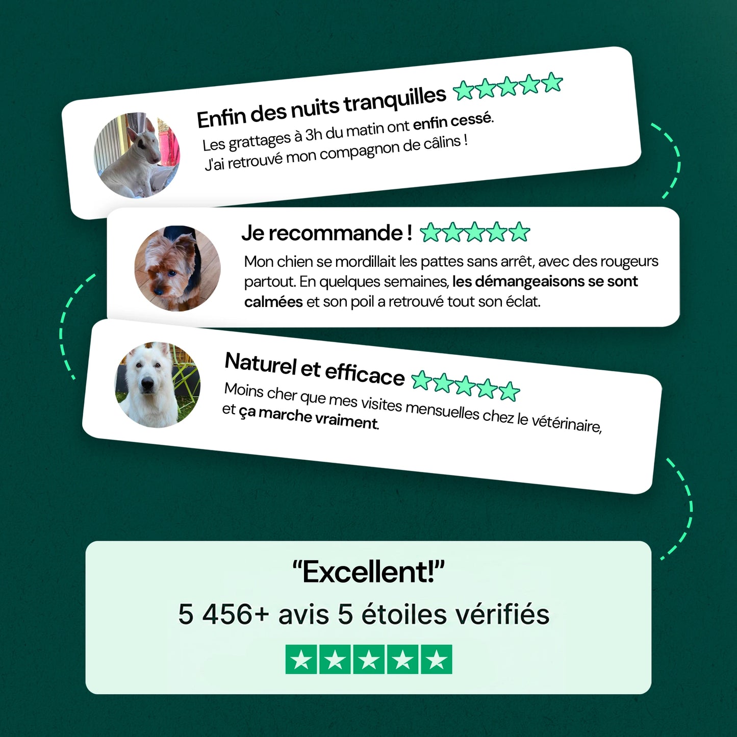 Complément Immunité & Démangeaisons
