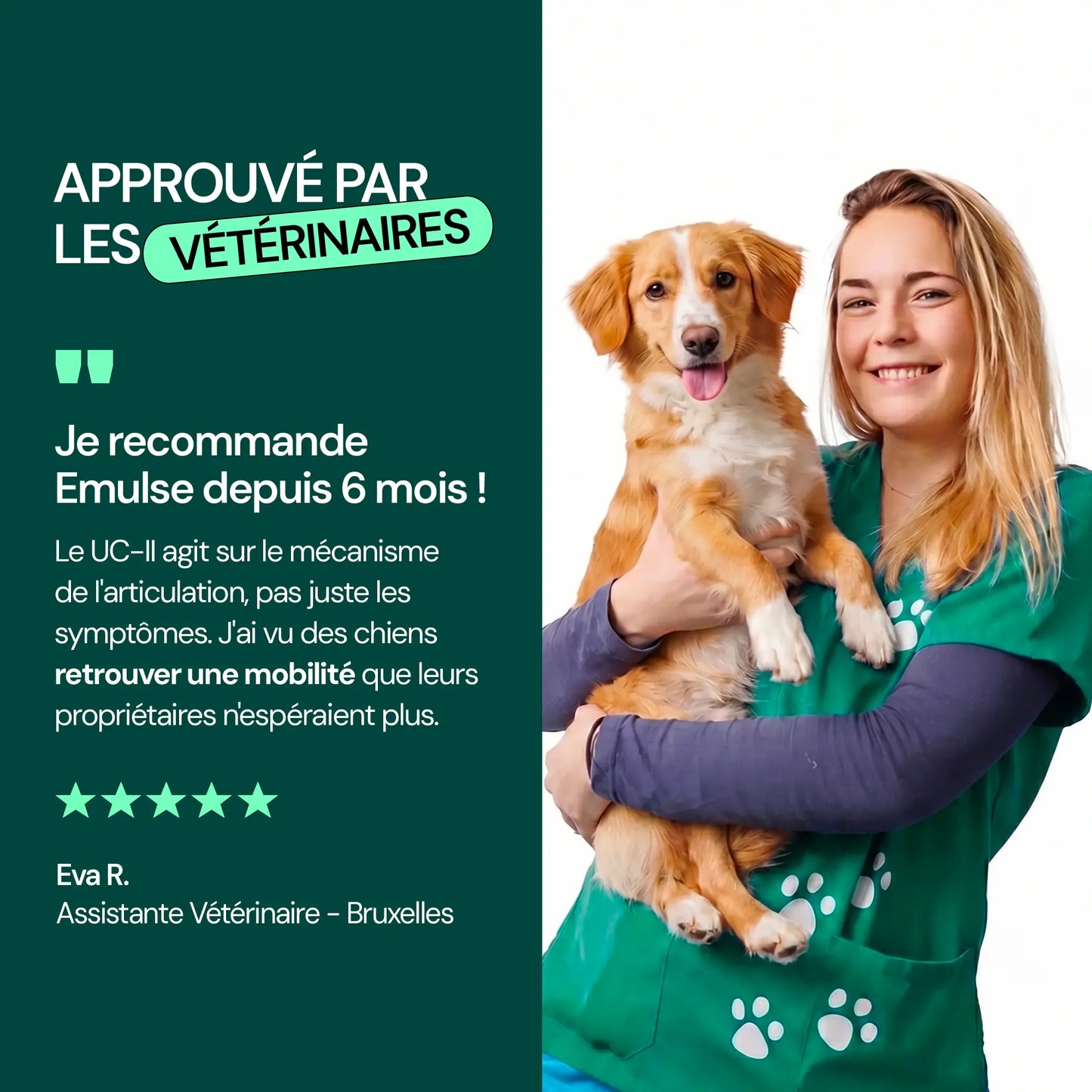Complément Articulations