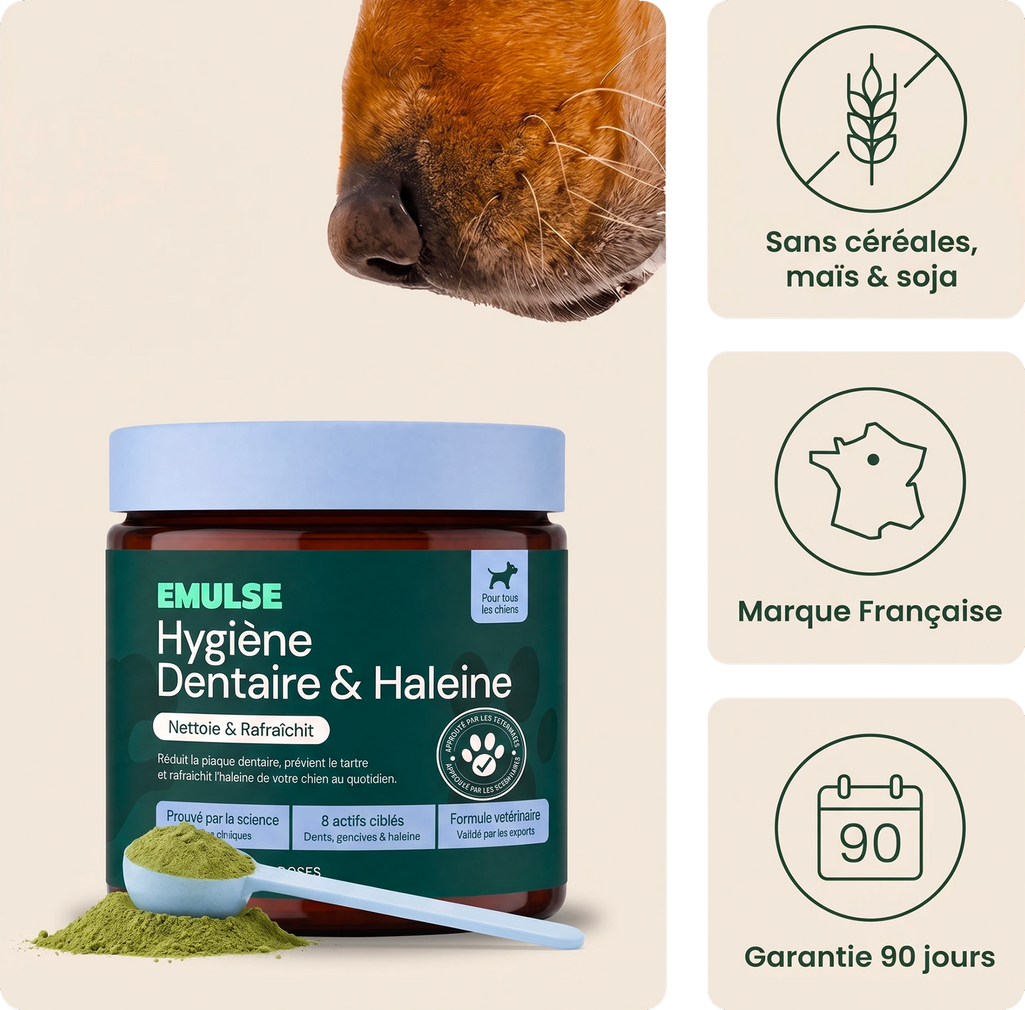 Hygiène dentaire & Haleine