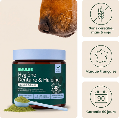 Hygiène dentaire & Haleine