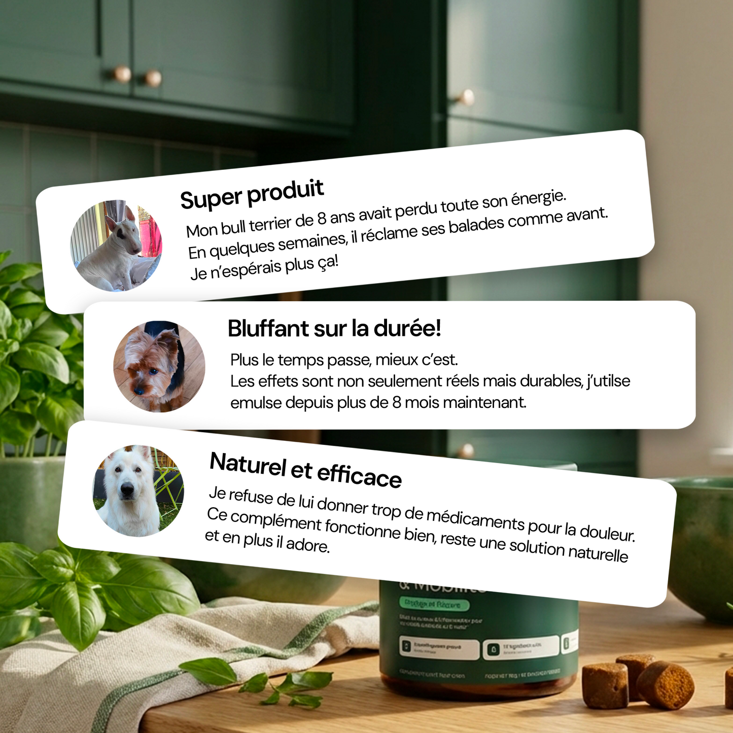 Complément Articulations