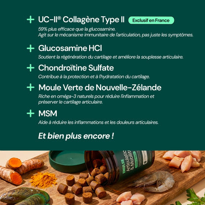 Complément Articulations