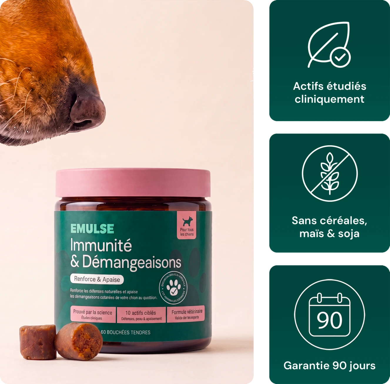 Complément Immunité & Démangeaisons