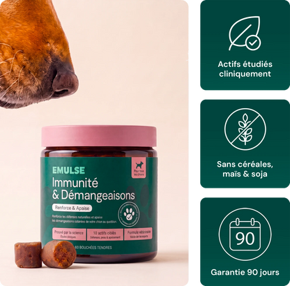 Complément Immunité & Démangeaisons