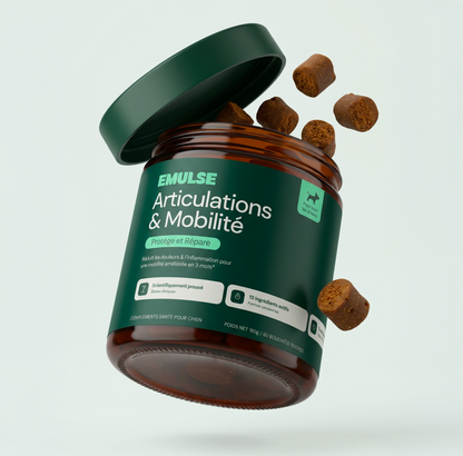 Complément Articulations