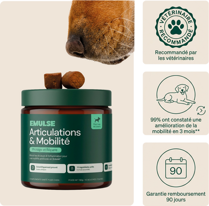 Complément Articulations