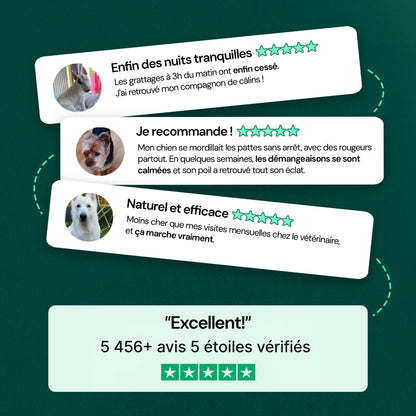 Complément Immunité & Démangeaisons