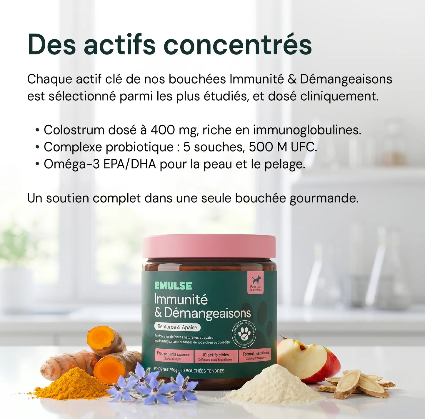 Complément Immunité & Démangeaisons