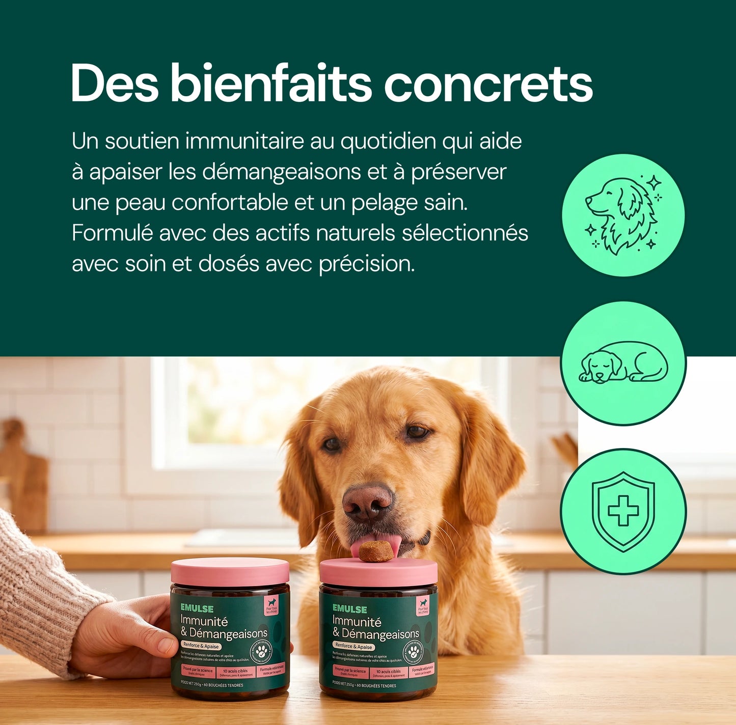 Complément Immunité & Démangeaisons