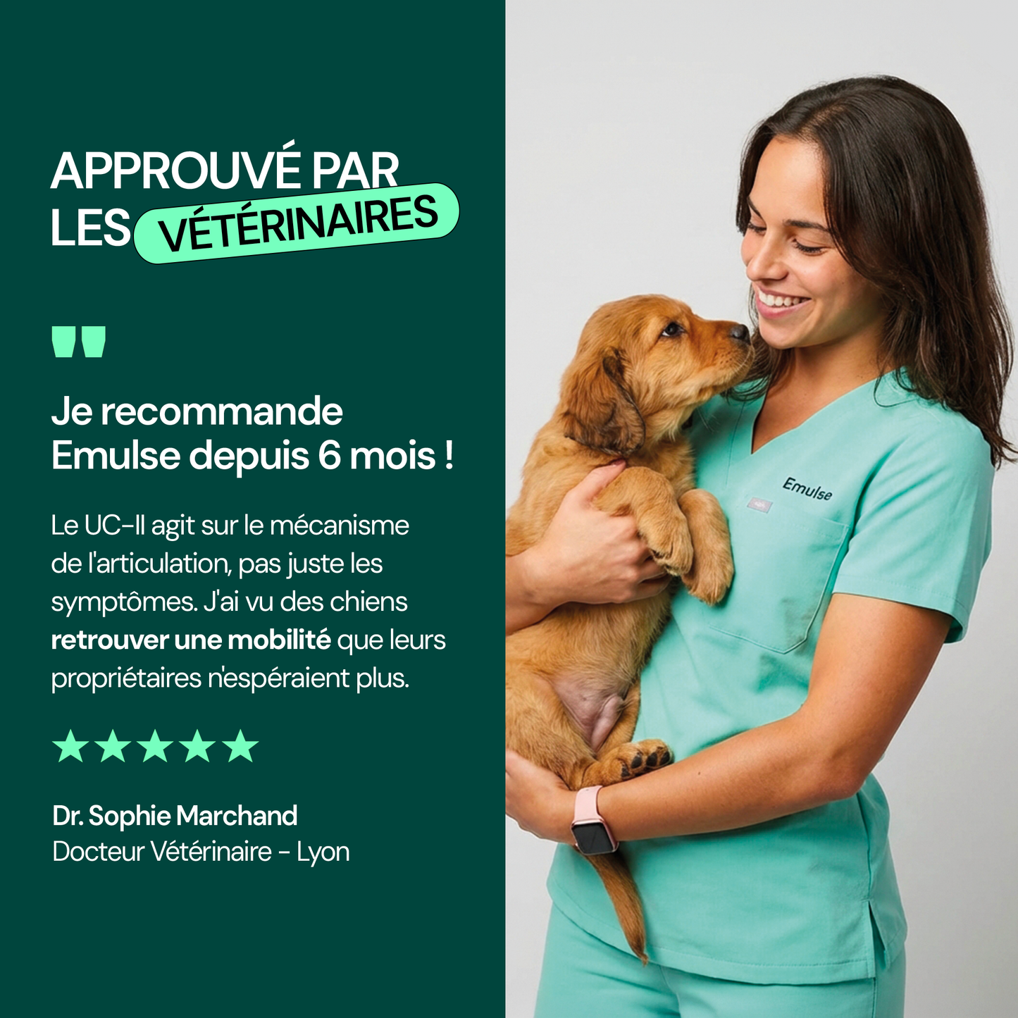 Complément Articulations