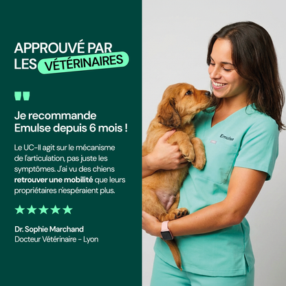 Complément Articulations