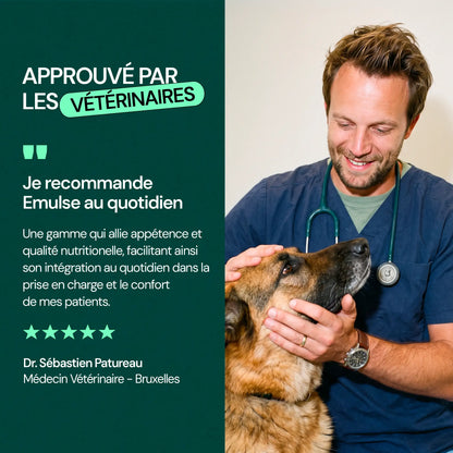 Complément Immunité & Démangeaisons