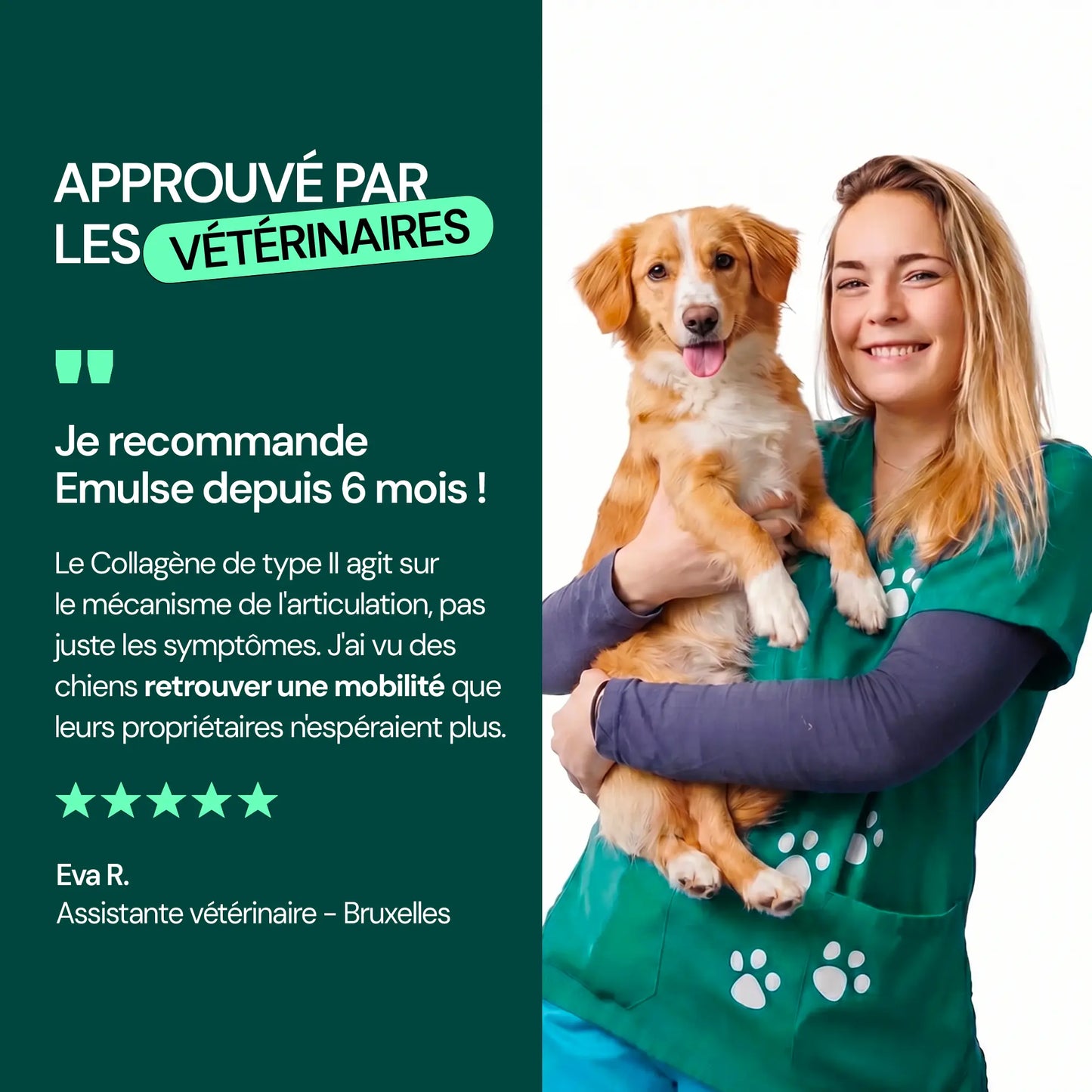 Complément Articulations