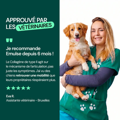 Complément Articulations