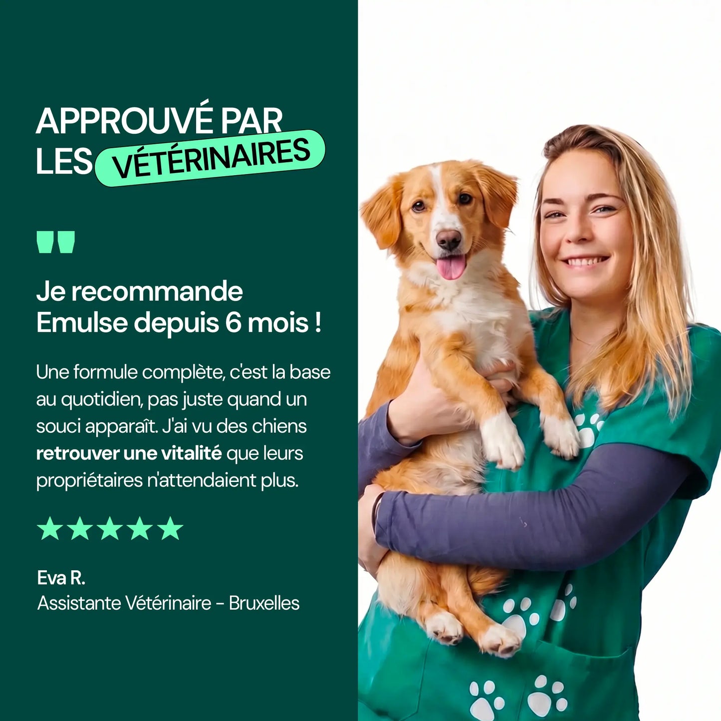 Multivitamines & Équilibre