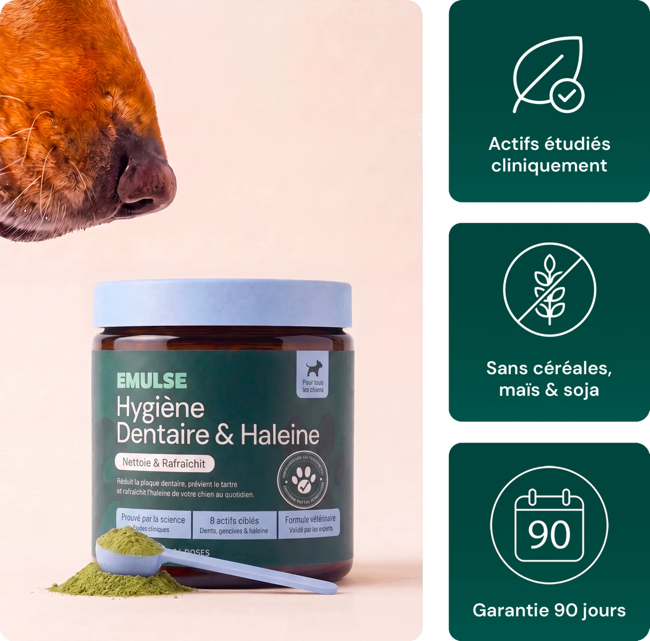 Hygiène dentaire & Haleine