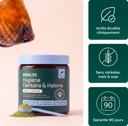 Hygiène dentaire & Haleine
