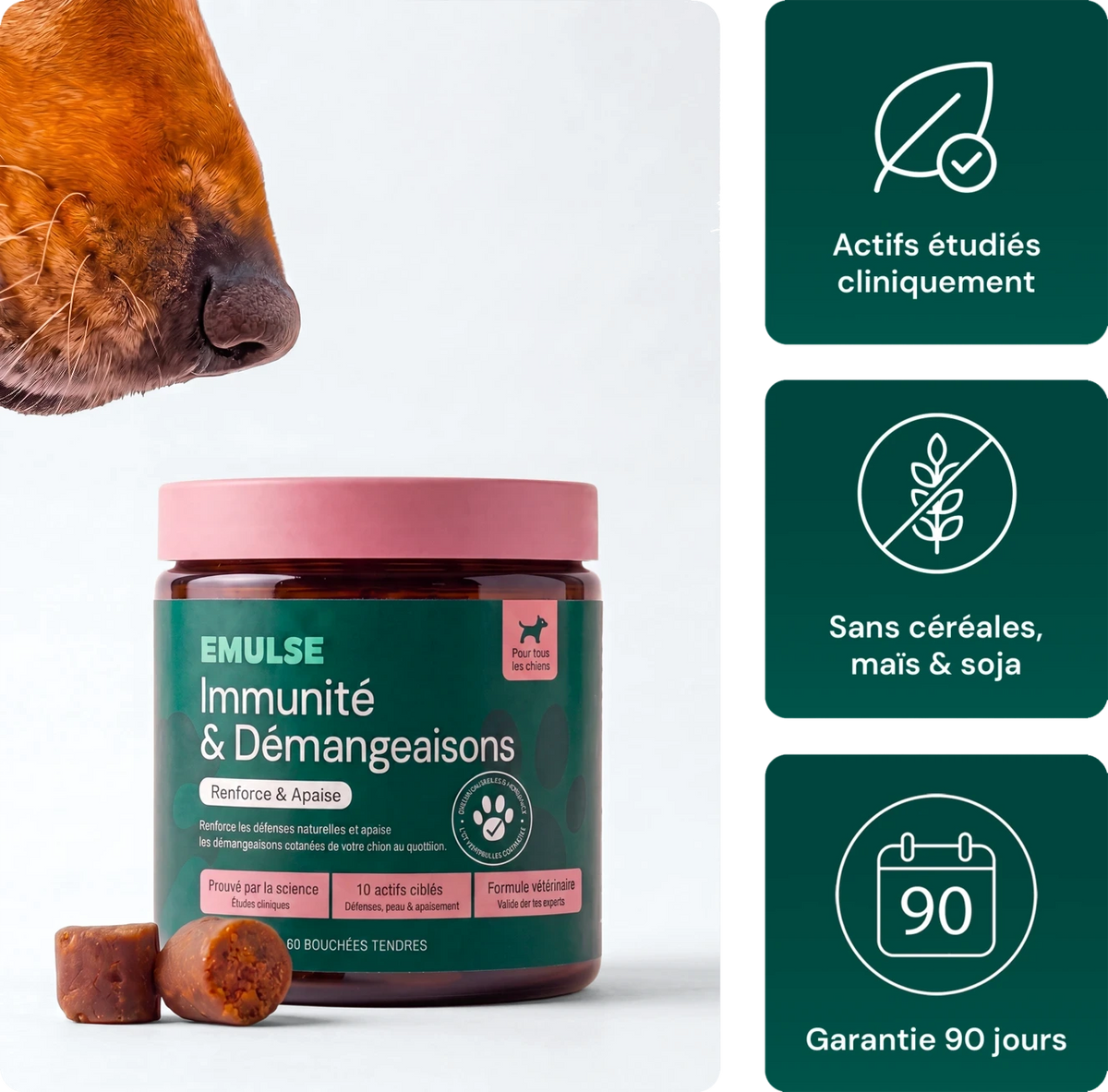 Complément Immunité & Démangeaisons