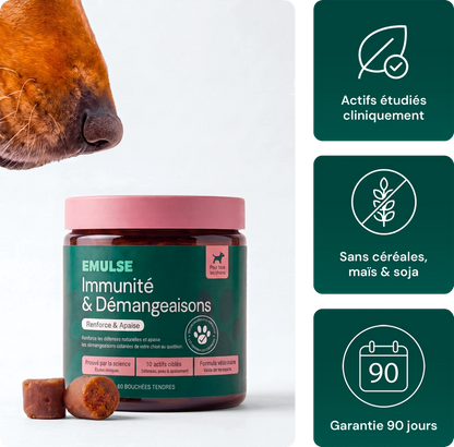 Complément Immunité & Démangeaisons