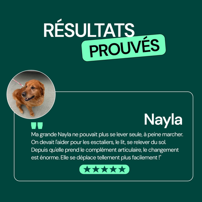 Complément Articulations