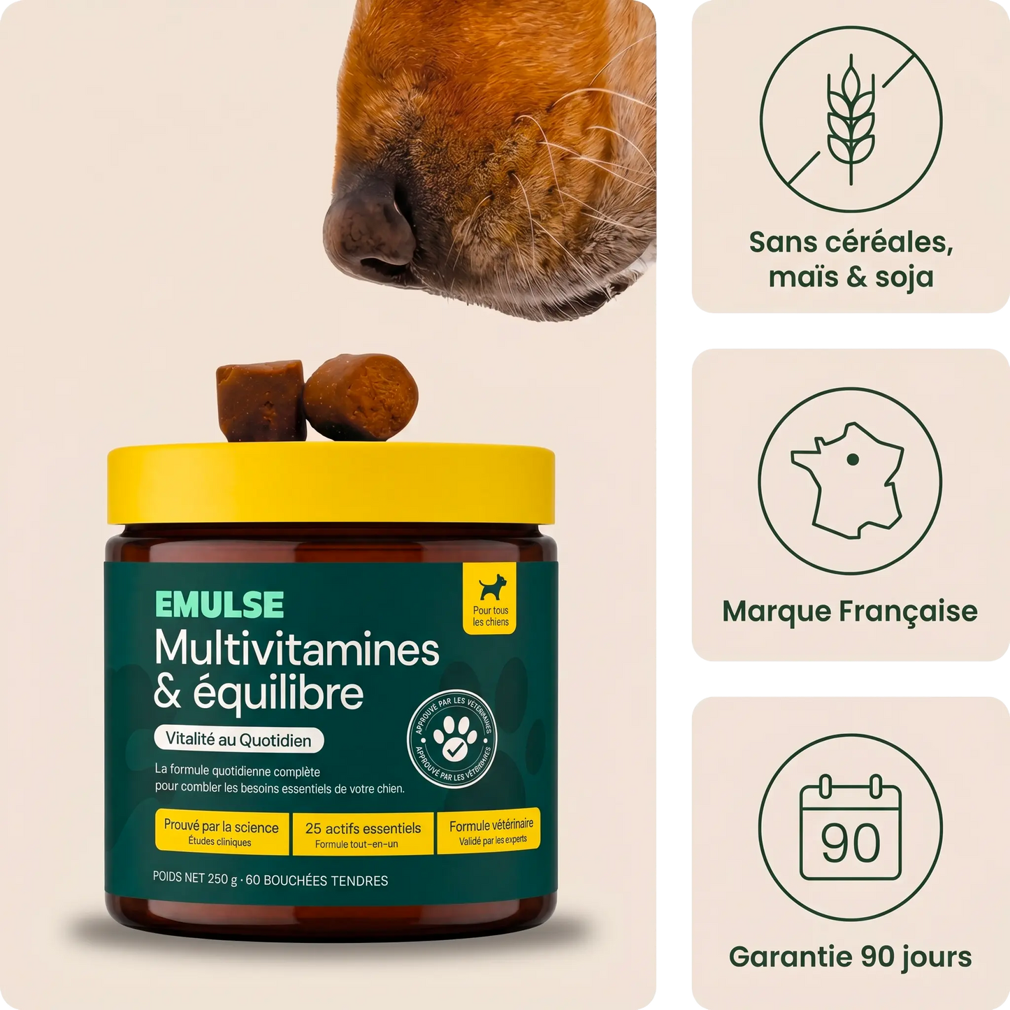 Multivitamines & Équilibre