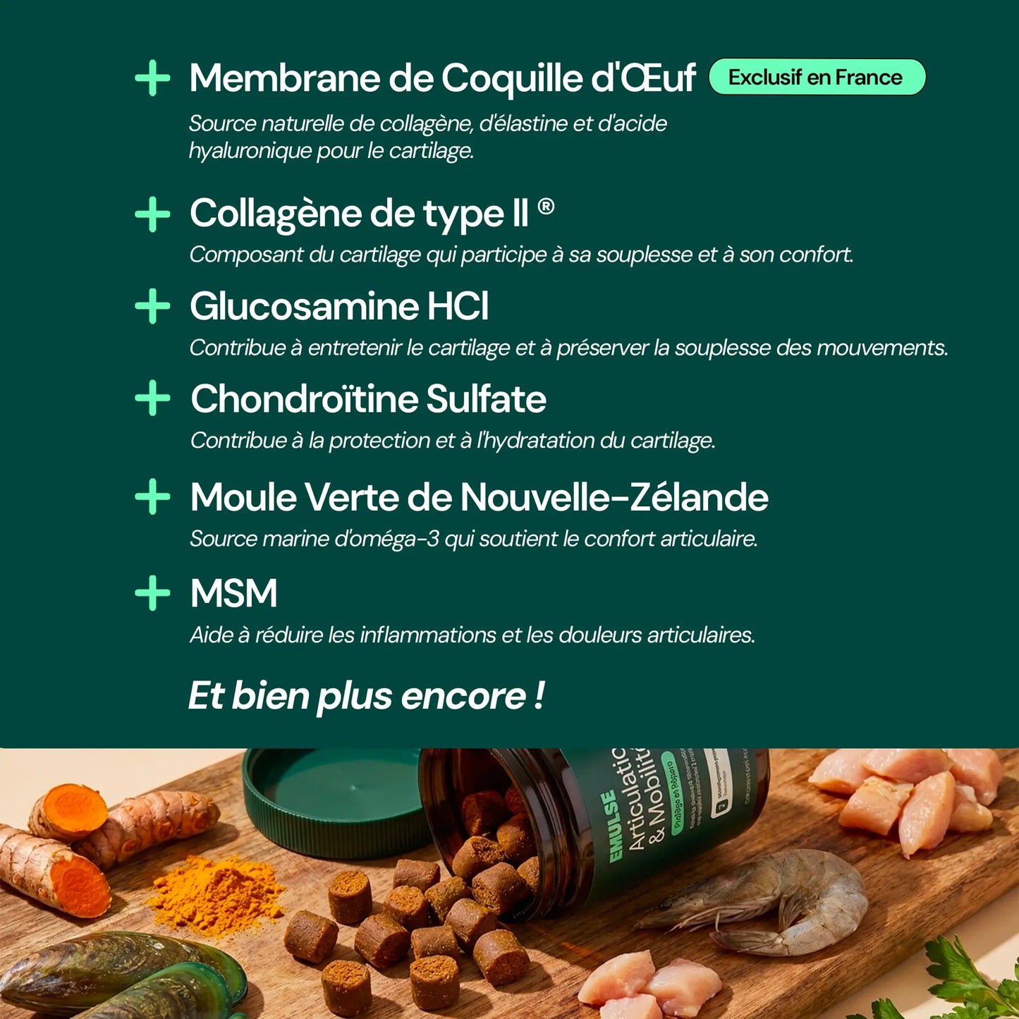 Complément Articulations