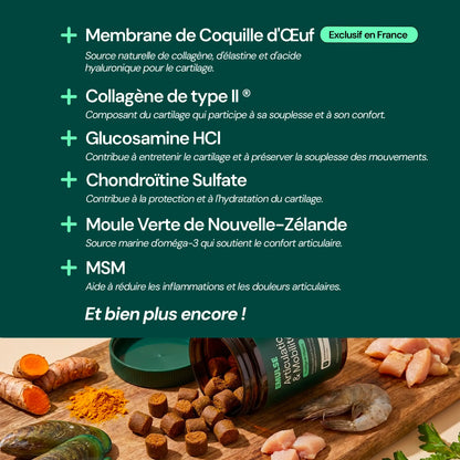 Complément Articulations