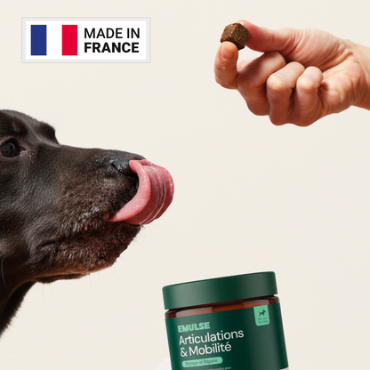 Complément Articulations