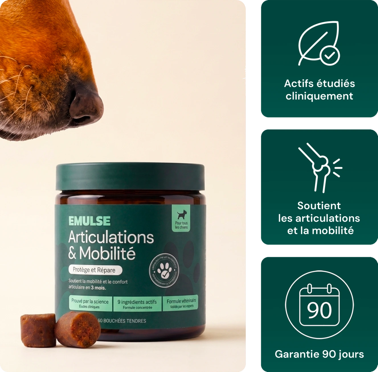 Complément Articulations