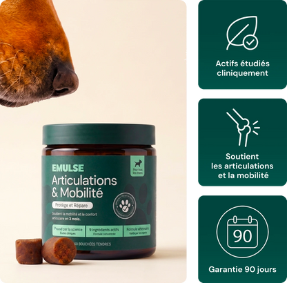 Complément Articulations