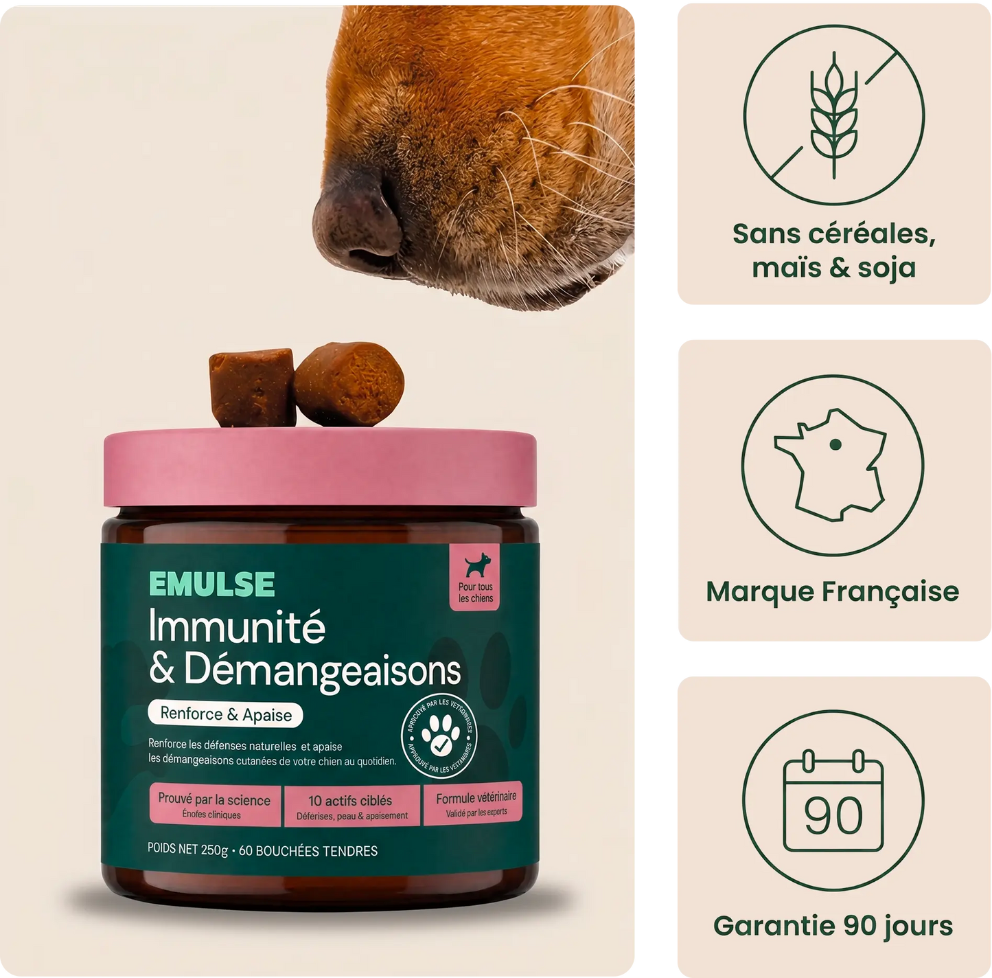 Complément Immunité & Démangeaisons