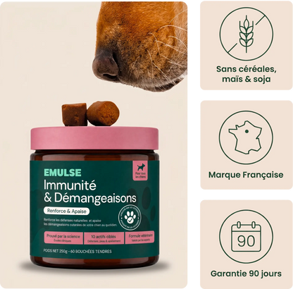 Complément Immunité & Démangeaisons