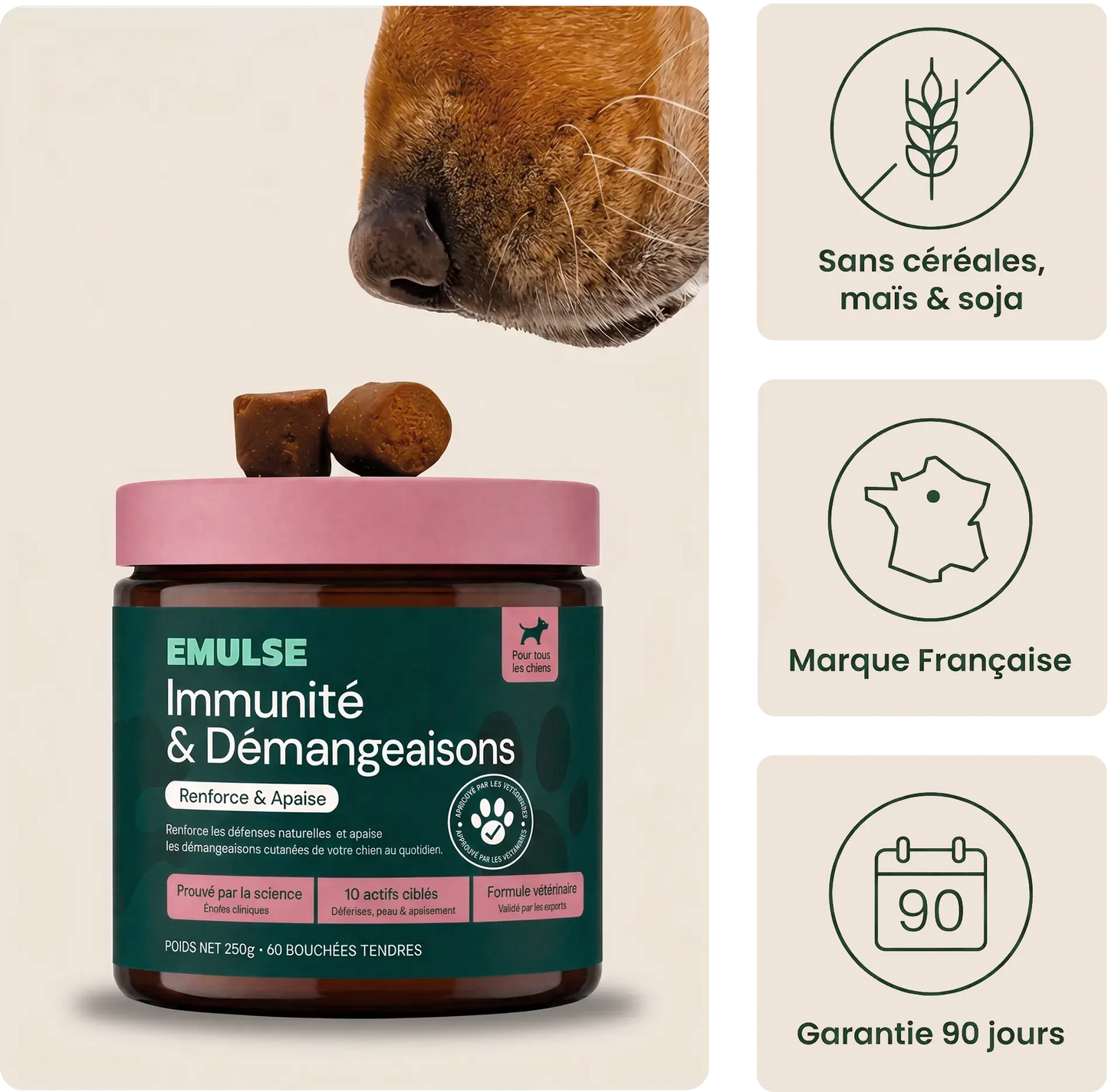 Complément Immunité & Démangeaisons