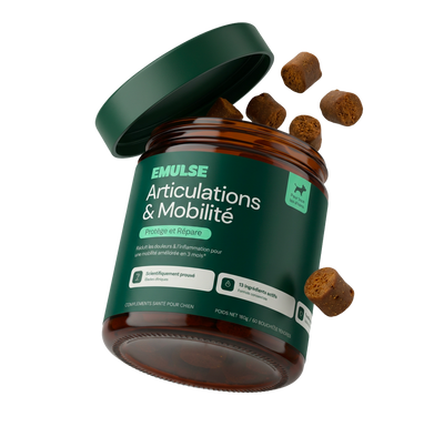 Complément Articulations