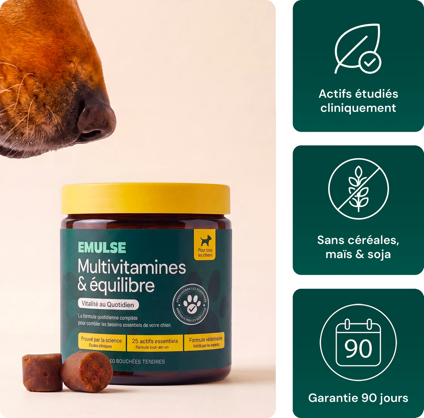 Multivitamines & Équilibre