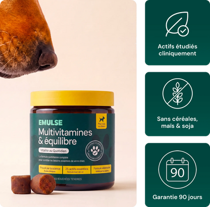 Multivitamines & Équilibre